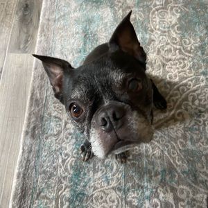 Meet your Posher, Allyson